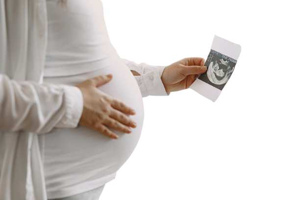 Pregnant Lady